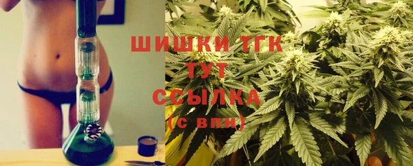 прущие грибы Алексин