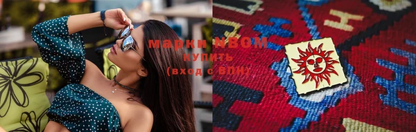 гидра Михайловка